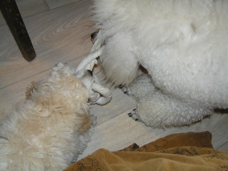 ...tak tu mu taky potahám...